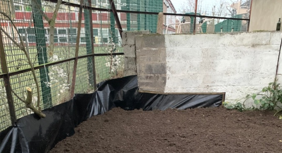 Garden area after a professional Japanese knotweed treatment programme