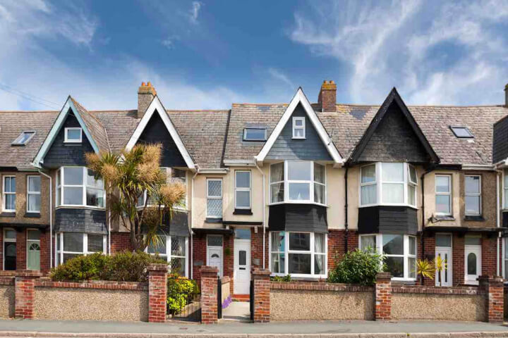 Chartered surveyor conducting knotweed assessment